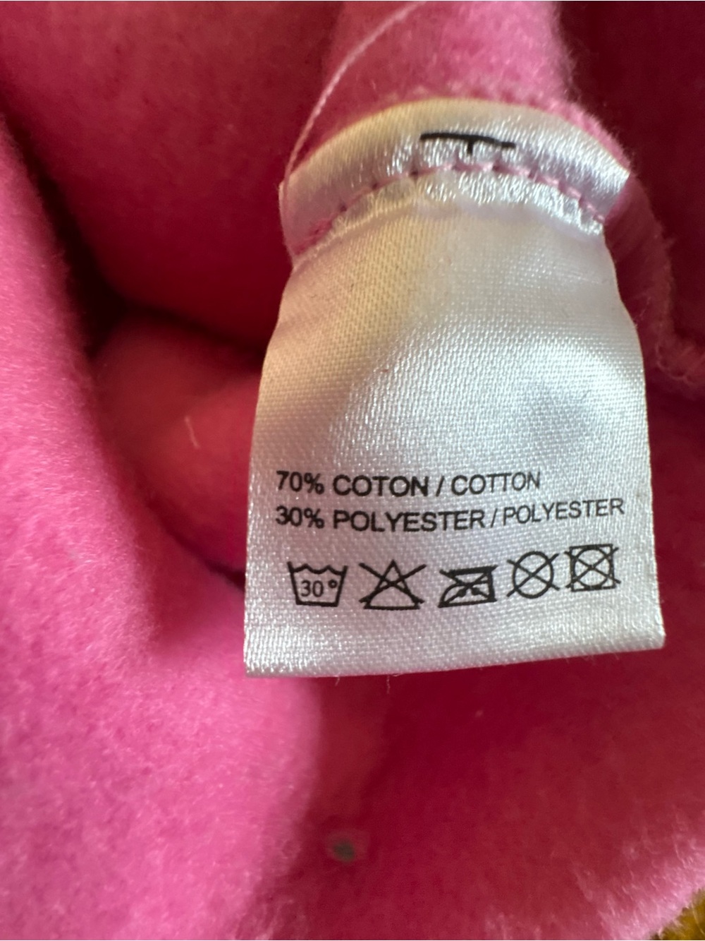 AKA Pink & Green Pullover Hoodie - Martha's Vineyard 1908 - Picture 13 of 14